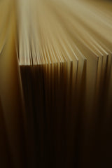 Diario de Burn Book