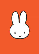 Presented in a beautiful gift box, Miffy: Note Cards includes 16 blank cards, each with a unique Miffy-themed design and envelope.

Timeless appeal: Miffy's simple, minimalist design and gentle stories have captivated generations of children - and 2025 marked 70 years of Miffy! Global recognition: Miffy is a beloved character in over 50 countries and with more than 85 million books in print worldwide. Beloved by all: Children and adults alike delight in all things Miffy!