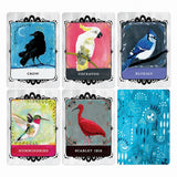 This beautiful oracle deck will help you spread your wings and fly into the wonderful world of birds + self-discovery.

Each card features a hand-painted bird portrait by artist Jessica Swift, and the guidebook is filled with messages and encouragement from 50 different birds that will guide you toward inner adventures and new emotional heights.

Animal deck illustrated by Jessica Swift
50 cards + 56-page guide book
4 x 5.5 x 1.5 inch box with magnetic closure
