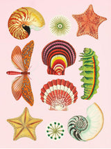 Antiquarian Sticker Book: 1000+ Victorian Stickers