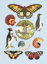 Antiquarian Sticker Book: 1000+ Victorian Stickers