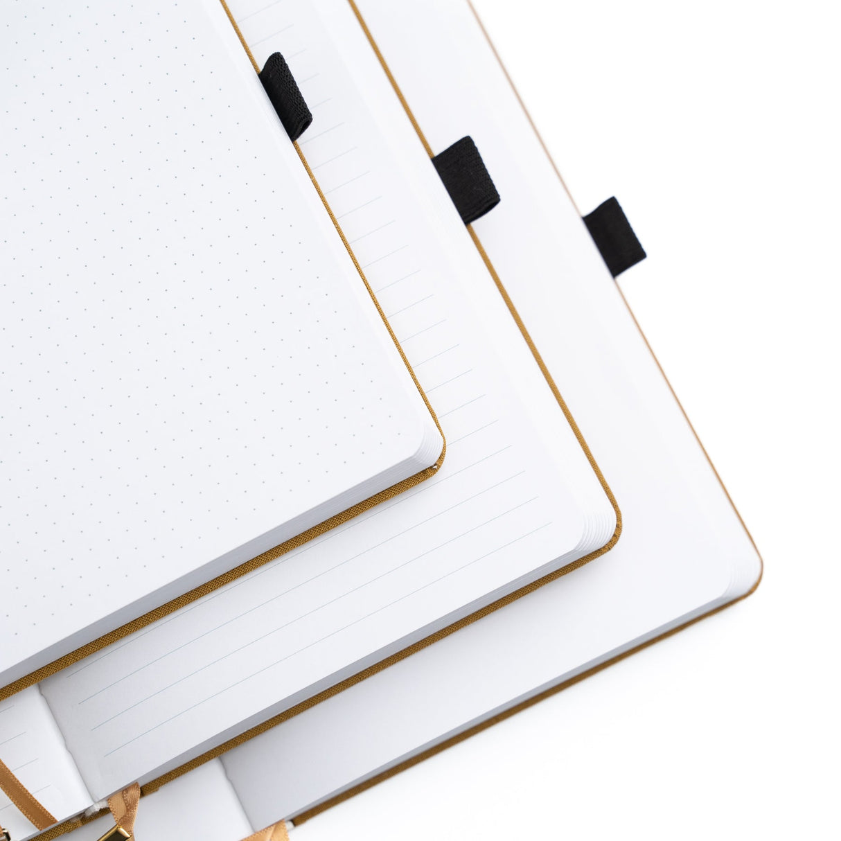 Archer and Olive Dot, Lined and Blank pages