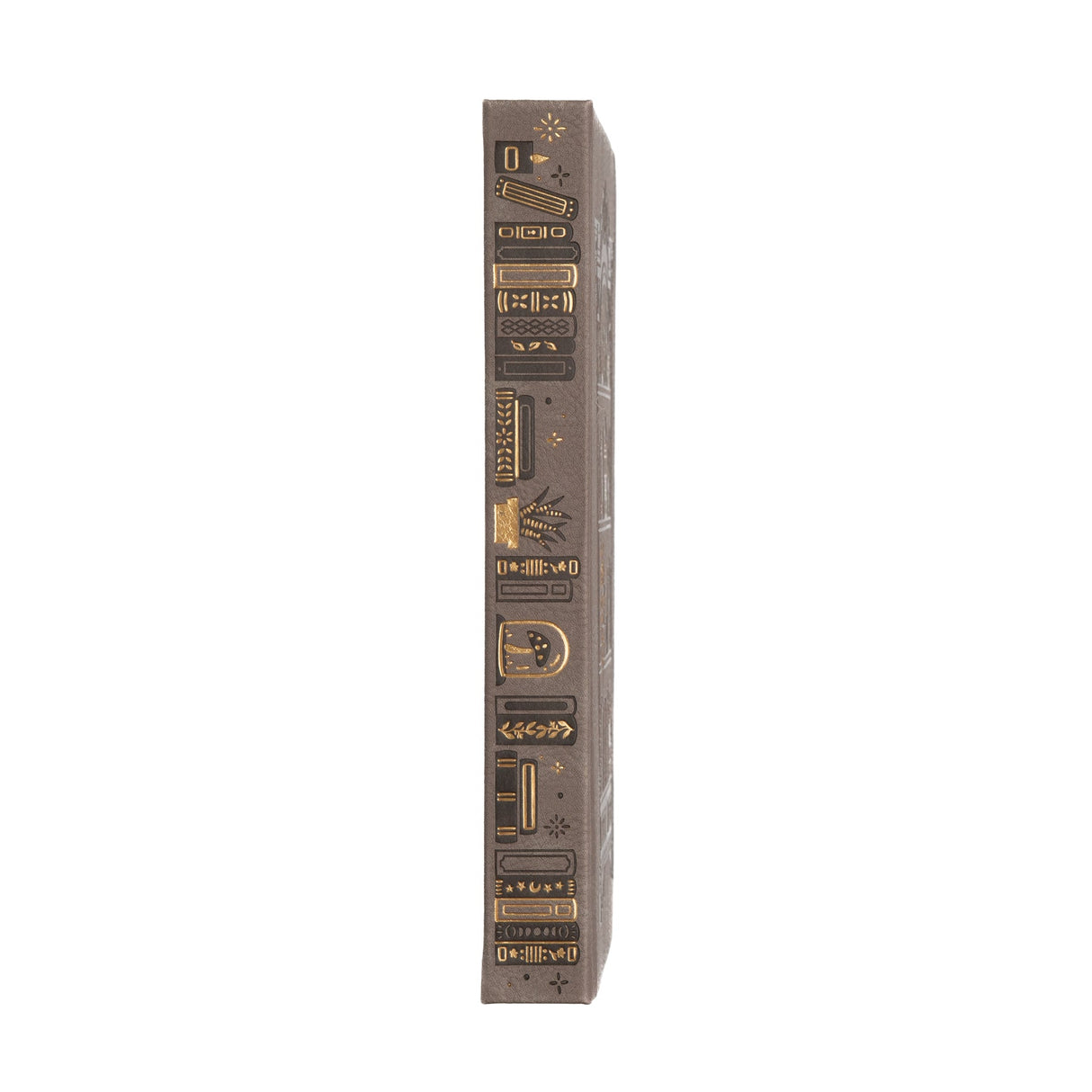 Archer and Olive Notebook: Bookshelf