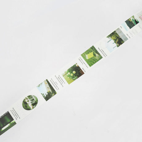 Color City Green Washi Tape