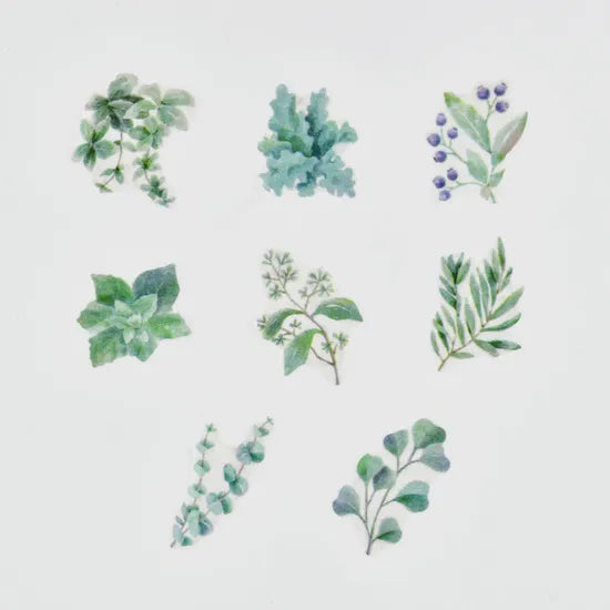 BANDE's popular patterns is back in print! Each time you flip through each page, various types of greens appear. If you stick it along the borders of your notebook or notebook, you can create a decoration that will make you smile, as if you are gathered on a perch.
Also a gift for bird lovers.