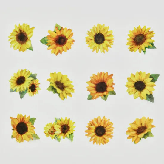 BANDE's popular patterns is back in print! A roll sticker featuring sunflowers blooming full of vitality, one by one. The vivid yellow reminiscent of the summer sun is enough to lift your spirits just by looking at it!