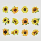 BANDE's popular patterns is back in print! A roll sticker featuring sunflowers blooming full of vitality, one by one. The vivid yellow reminiscent of the summer sun is enough to lift your spirits just by looking at it!