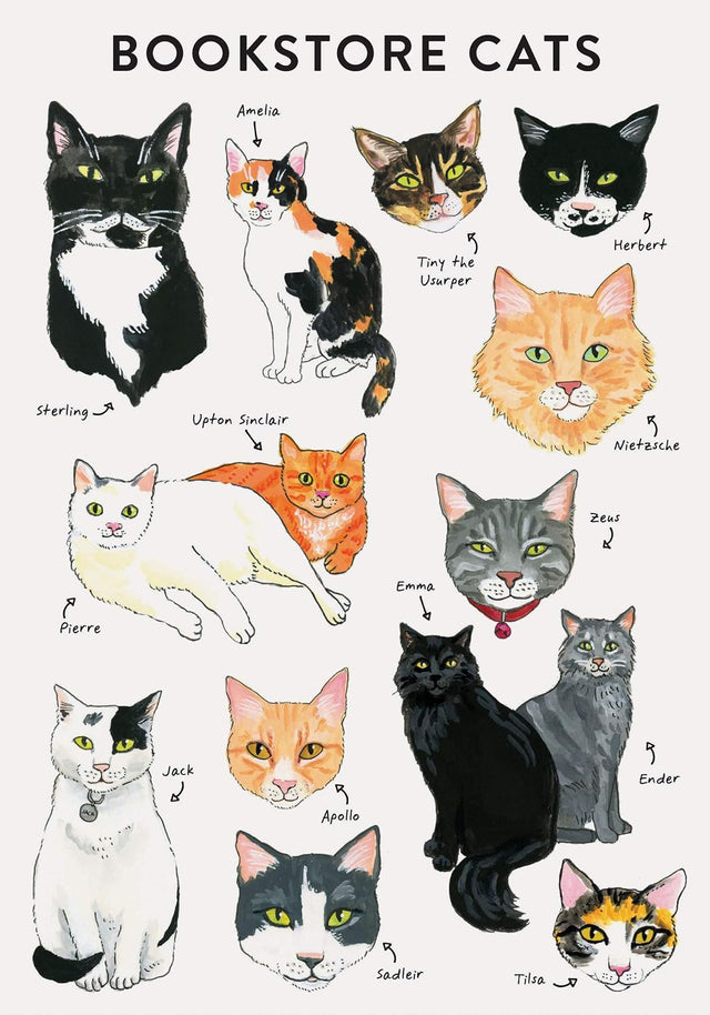 Bibliophile Flexi Journal: Bookstore Cats

Cats and books are the purrfect pair! This charming journal illustrated by Jane Mount is packed with cats from bookstores around the world on every page, from Emma Ender to Tiny the Usurper.