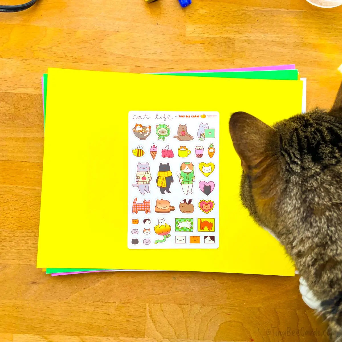 Tiny Bee Cards - Cat Life Vinyl Sticker Sheet