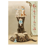 A set of fifty beguiling, funny, and artistic feline postcards selected from the incomparable collection of the Victoria and Albert Museum.

Bringing together fifty of the V&amp;A’s most adorable, stylish, and charming cats, this boxed postcard set features a wide range of art styles, from the Edwardian eccentricity of Louis William Wain to the whimsy of early Victorian Christmas cards, and from the fish-stealing strays of sixteenth-century genre painting to the sophisticated felines of 1920s Paris.

Includ