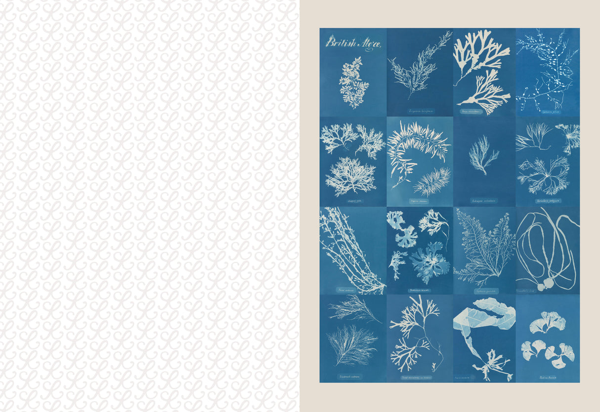 Collage Compendium - 2,000 Images to Cut Out & Collage