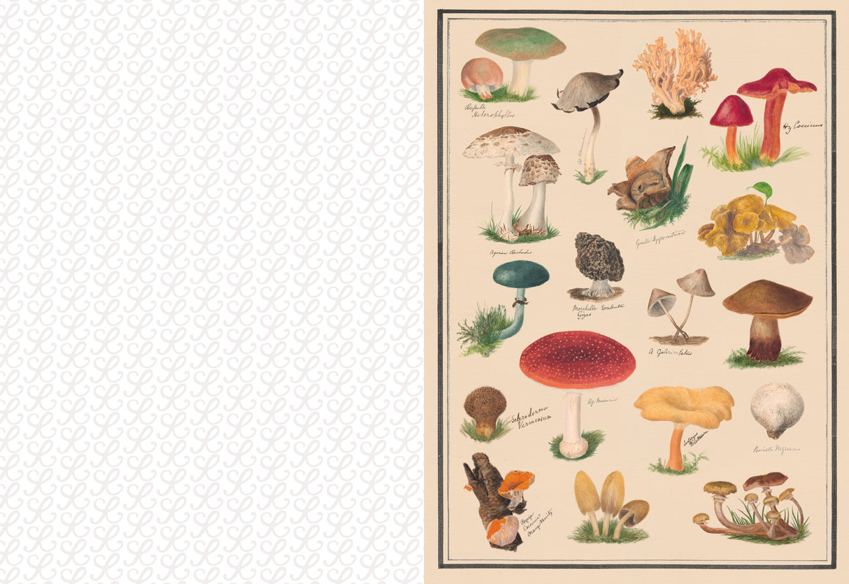 Collage Compendium - 2,000 Images to Cut Out & Collage