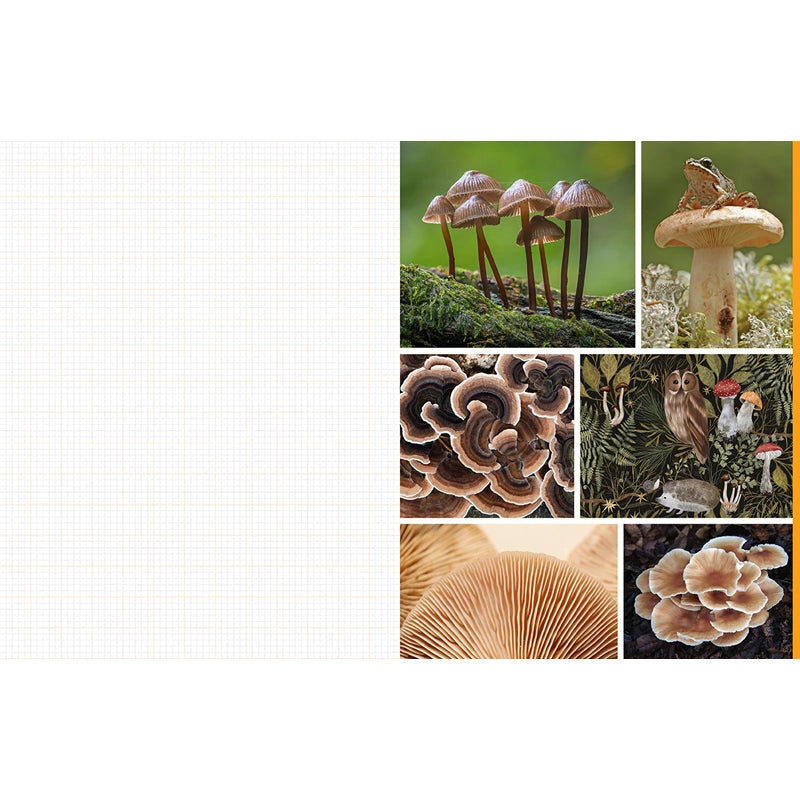 Featuring more than 400 photos and illustrations, Cut &amp; Collage Mushrooms and Fungi invites you to cut out and piece together your own works of art inspired by the treasures found on the forest floor.

Let your creativity and imagination roam free as you create collages, scrapbooks, vision boards, and more by mixing and matching vibrant colors and textures. Stunning photographs and illustrations on high-quality glossy paper showcase the beauty and magic of the fungus kingdom, including macro photography