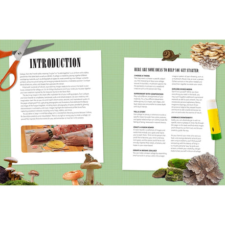 Featuring more than 400 photos and illustrations, Cut &amp; Collage Mushrooms and Fungi invites you to cut out and piece together your own works of art inspired by the treasures found on the forest floor.

Let your creativity and imagination roam free as you create collages, scrapbooks, vision boards, and more by mixing and matching vibrant colors and textures. Stunning photographs and illustrations on high-quality glossy paper showcase the beauty and magic of the fungus kingdom, including macro photography