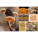 Featuring more than 400 photos and illustrations, Cut &amp; Collage Mushrooms and Fungi invites you to cut out and piece together your own works of art inspired by the treasures found on the forest floor.

Let your creativity and imagination roam free as you create collages, scrapbooks, vision boards, and more by mixing and matching vibrant colors and textures. Stunning photographs and illustrations on high-quality glossy paper showcase the beauty and magic of the fungus kingdom, including macro photography