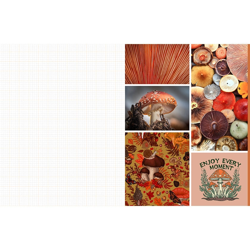 Featuring more than 400 photos and illustrations, Cut &amp; Collage Mushrooms and Fungi invites you to cut out and piece together your own works of art inspired by the treasures found on the forest floor.

Let your creativity and imagination roam free as you create collages, scrapbooks, vision boards, and more by mixing and matching vibrant colors and textures. Stunning photographs and illustrations on high-quality glossy paper showcase the beauty and magic of the fungus kingdom, including macro photography