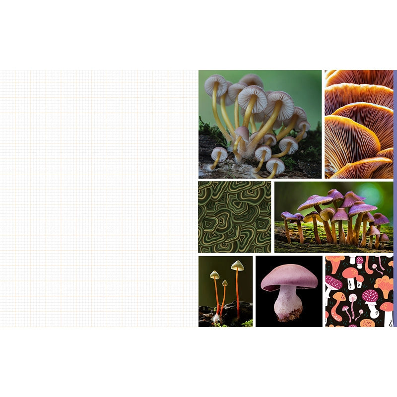 Featuring more than 400 photos and illustrations, Cut &amp; Collage Mushrooms and Fungi invites you to cut out and piece together your own works of art inspired by the treasures found on the forest floor.

Let your creativity and imagination roam free as you create collages, scrapbooks, vision boards, and more by mixing and matching vibrant colors and textures. Stunning photographs and illustrations on high-quality glossy paper showcase the beauty and magic of the fungus kingdom, including macro photography