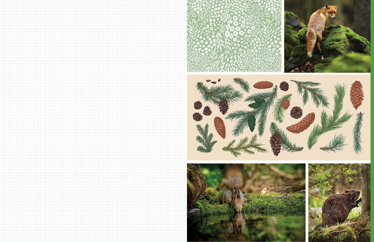 Celebrate the natural beauty of the forest and all the amazing creatures that call it home with vibrant, full-color images ready for you to add to collages, vision boards, scrapbooks, greeting cards, and more. From photographs of wide-eyed owls and bushy-tailed squirrels to botanical illustrations and inspirational quotes, Cut &amp; Collage Woodland Creatures captures the biodiversity and magic of the forest, adding endless possibilities to all of your crafting projects. The only limit is your imagination.
