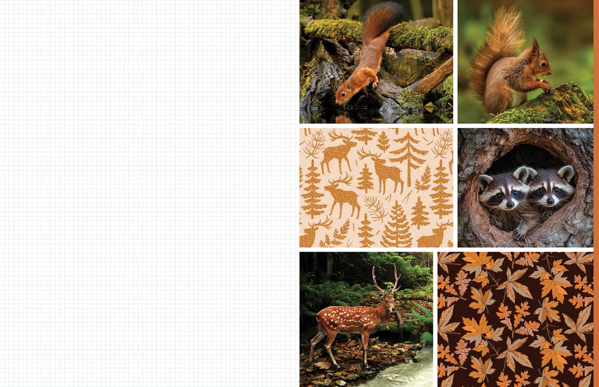 Celebrate the natural beauty of the forest and all the amazing creatures that call it home with vibrant, full-color images ready for you to add to collages, vision boards, scrapbooks, greeting cards, and more. From photographs of wide-eyed owls and bushy-tailed squirrels to botanical illustrations and inspirational quotes, Cut &amp; Collage Woodland Creatures captures the biodiversity and magic of the forest, adding endless possibilities to all of your crafting projects. The only limit is your imagination.
