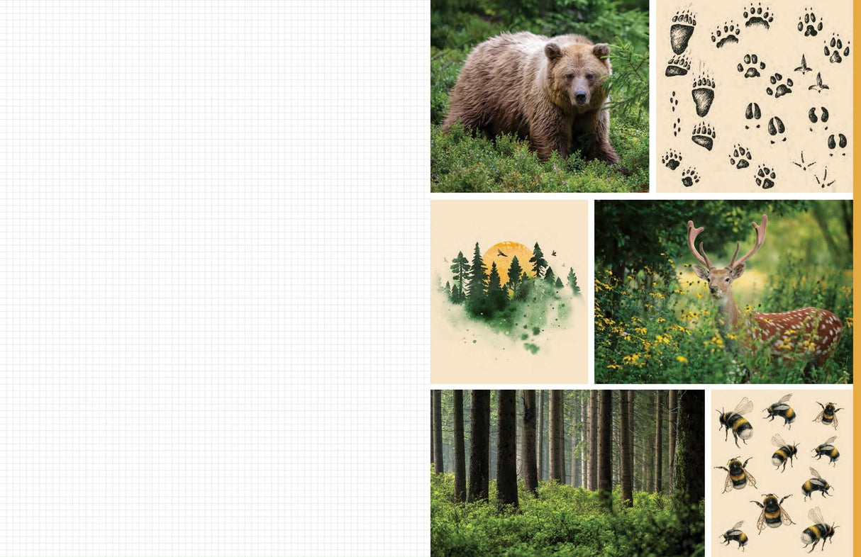 Celebrate the natural beauty of the forest and all the amazing creatures that call it home with vibrant, full-color images ready for you to add to collages, vision boards, scrapbooks, greeting cards, and more. From photographs of wide-eyed owls and bushy-tailed squirrels to botanical illustrations and inspirational quotes, Cut &amp; Collage Woodland Creatures captures the biodiversity and magic of the forest, adding endless possibilities to all of your crafting projects. The only limit is your imagination.
