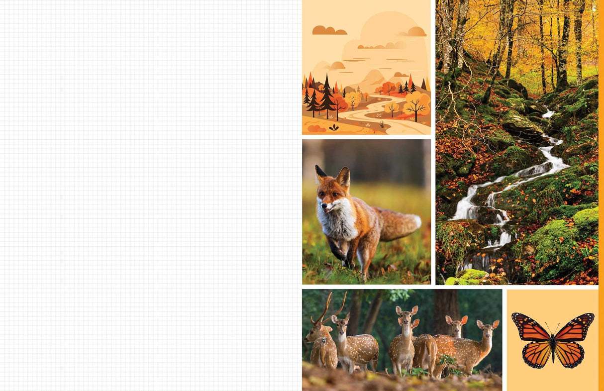 Celebrate the natural beauty of the forest and all the amazing creatures that call it home with vibrant, full-color images ready for you to add to collages, vision boards, scrapbooks, greeting cards, and more. From photographs of wide-eyed owls and bushy-tailed squirrels to botanical illustrations and inspirational quotes, Cut &amp; Collage Woodland Creatures captures the biodiversity and magic of the forest, adding endless possibilities to all of your crafting projects. The only limit is your imagination.
