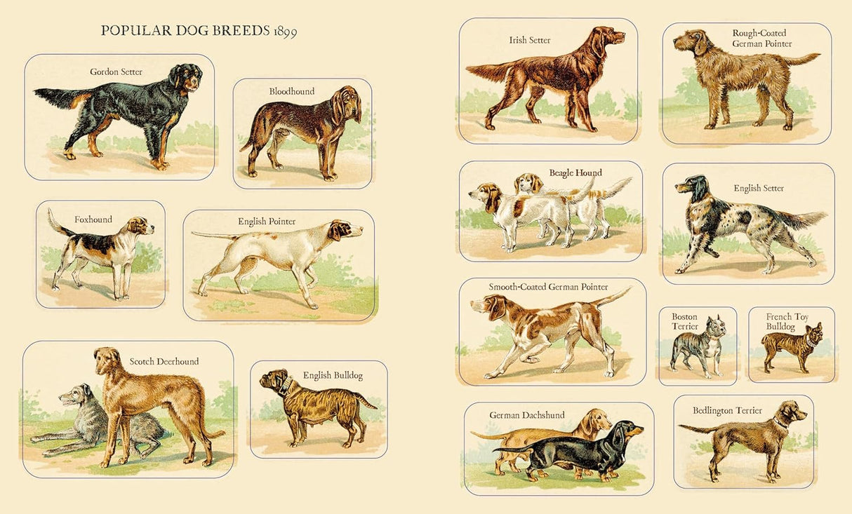 Cynthia Hart's Victoriana Dogs: the Sticker Book