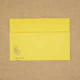 Shinzi Katoh Cat Hill Letter Set - Yellow