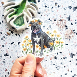 Pitbull with Black Eyed Susans Sticker