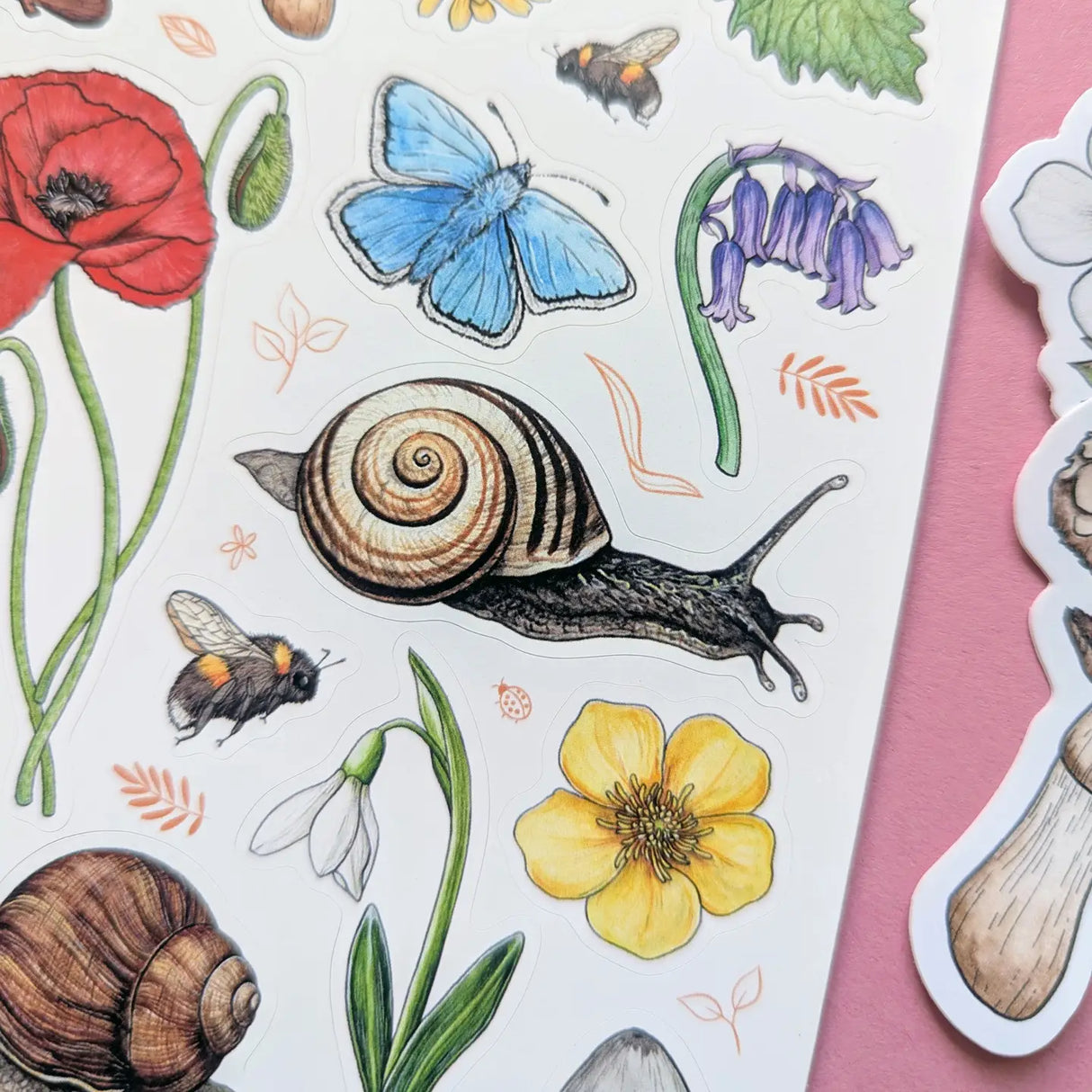 Drawn To Nature English Garden Sticker Sheet