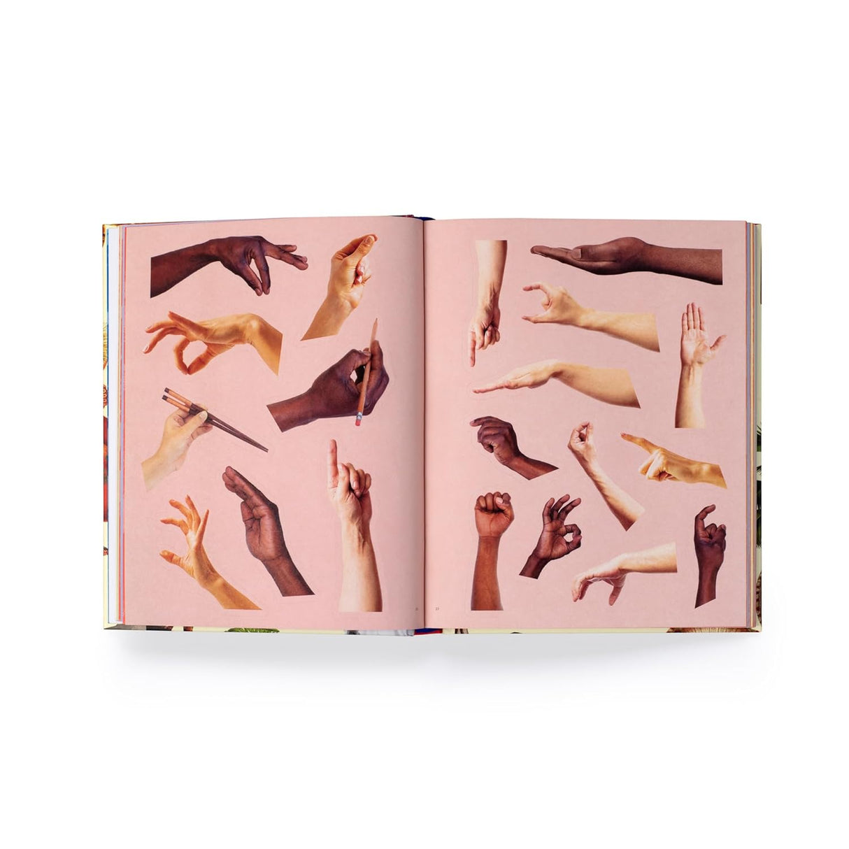 Extraordinary Things Sticker Book