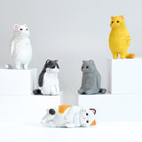 Just standing there... The soothing sight of them standing with a neutral expression...

Cats with nihilistic expressions and poses

Lineup (5 Variants):

White
Brown tiger
Black × White
Gray
Calico Cat