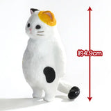 Feel Nothing Japanese Blind Box