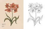 Floriography Coloring Book By Jessica Roux