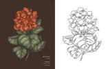 Floriography Coloring Book By Jessica Roux