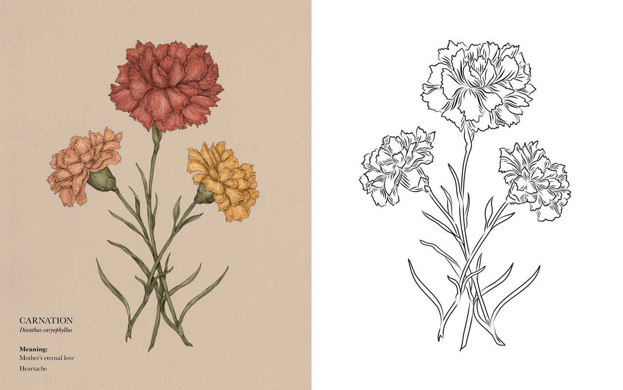 Floriography Coloring Book By Jessica Roux