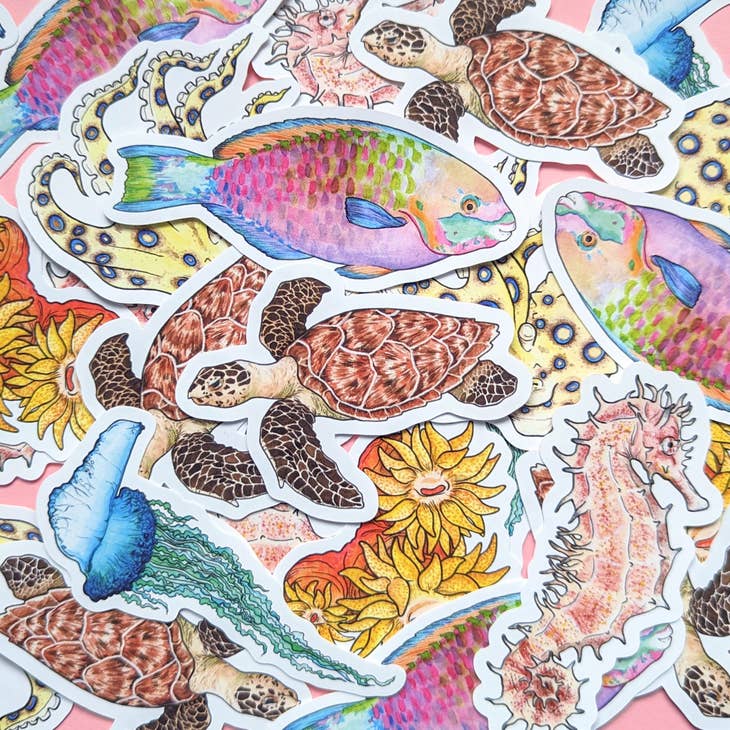 Pegatinas de la Gran Barrera de Coral: juego de 6