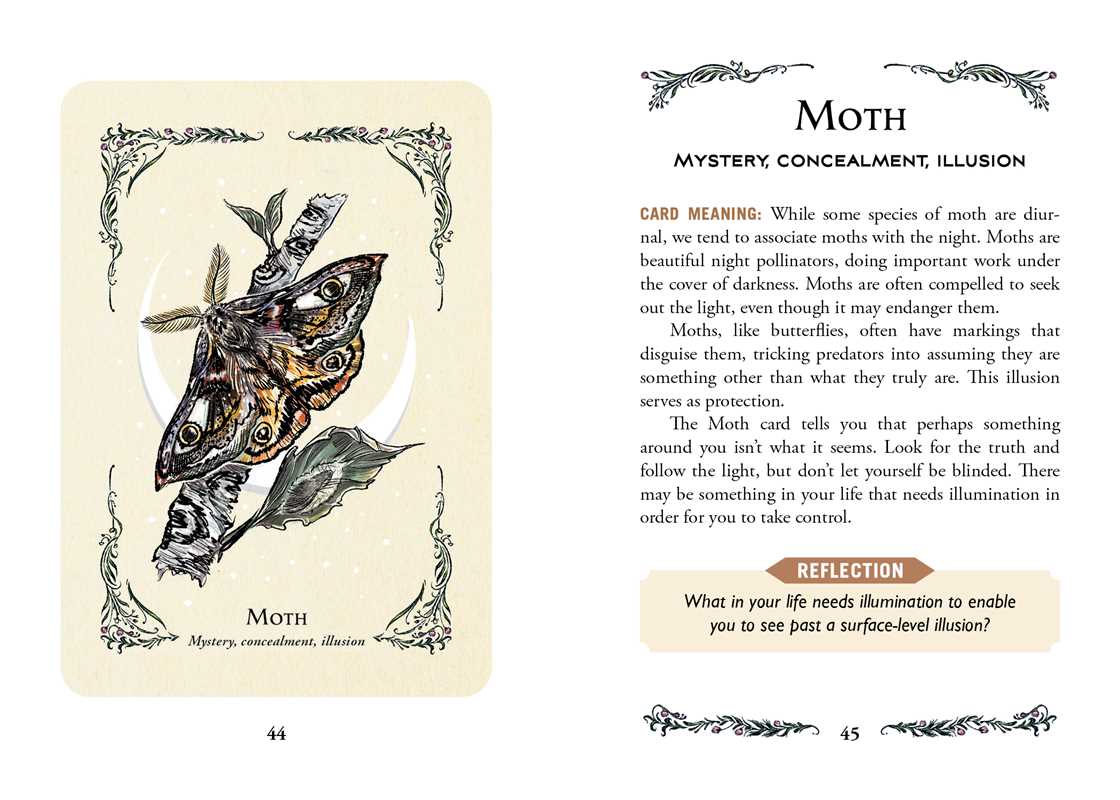 The power of The Green Witch meets the magic of oracle cards with these 50 green witchcraft-inspired oracle cards to guide you with the wisdom and insight from natural magic.

Embrace the power of the Green Witch with these 50 magical cards enhanced with wisdom green witchcraft. From the author of The Green Witch Arin Murphy-Hiscock, comes insight inspired by the grounding energy of a green witch, calling on the earth, the elements, and all the plants and flowers that green witches use in their practice.

F