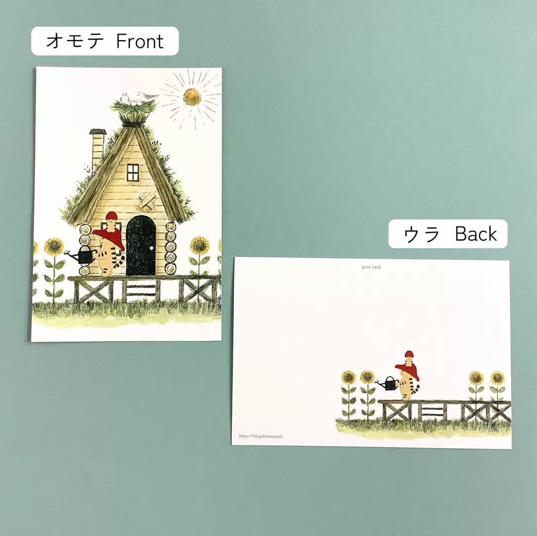 4legs Postcard - Mushroom Cats Summer