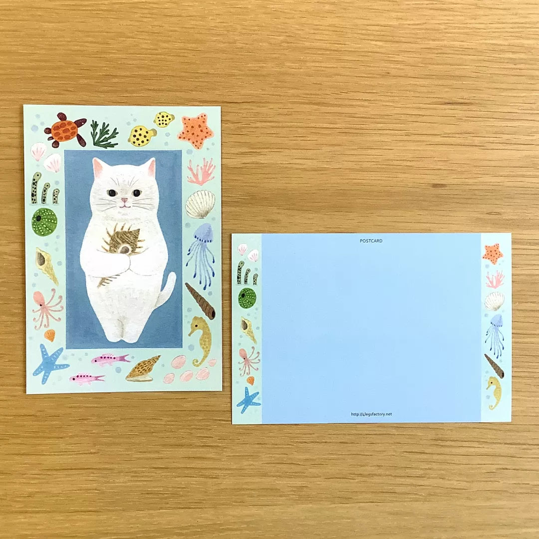 4legs Postcard - Cat in Picture Book #new3 White Cat
