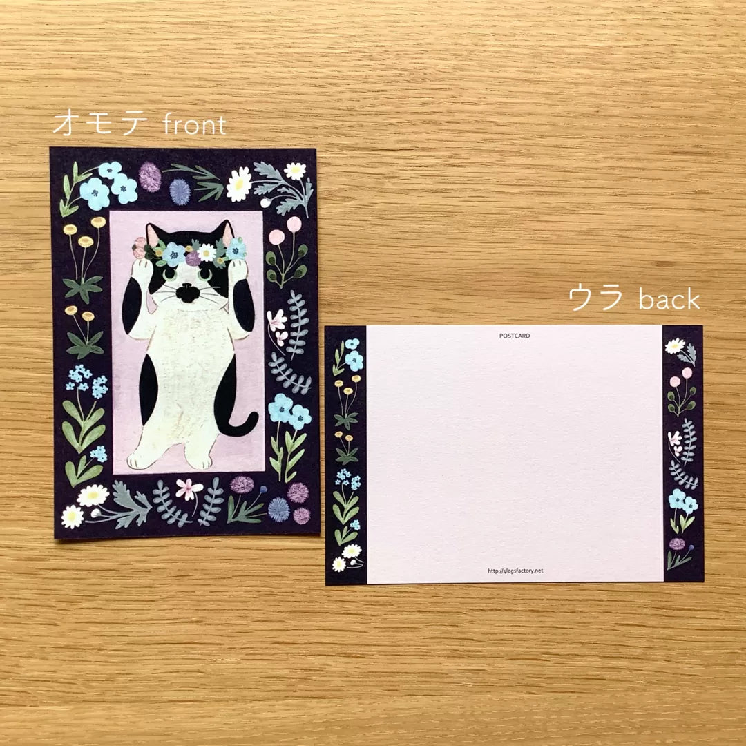 4legs Postcard - Cat in Picture Book #new2 Cow Cat
