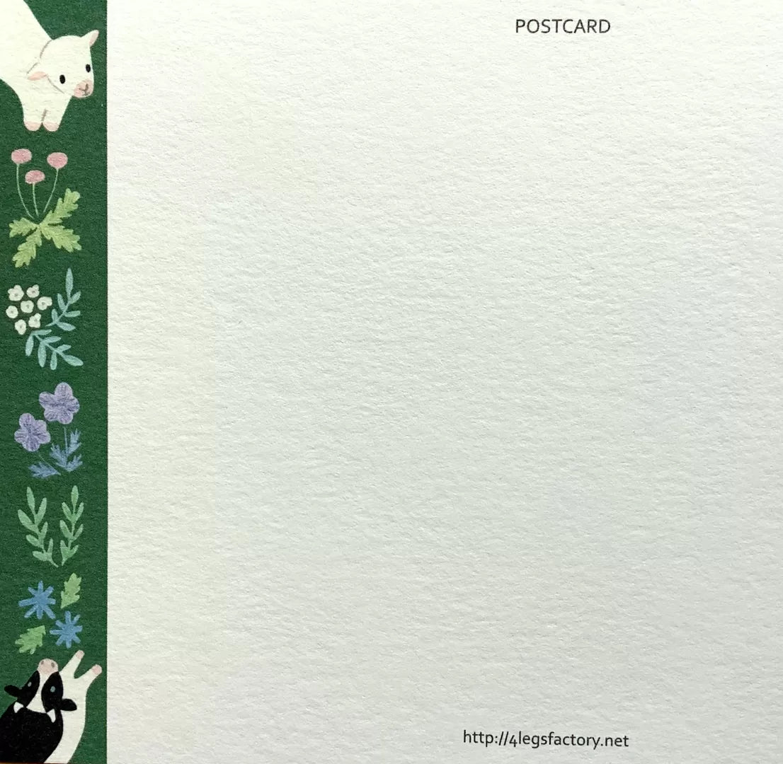 4legs Postcard - Cat in Picture Book #new4 Black Cat