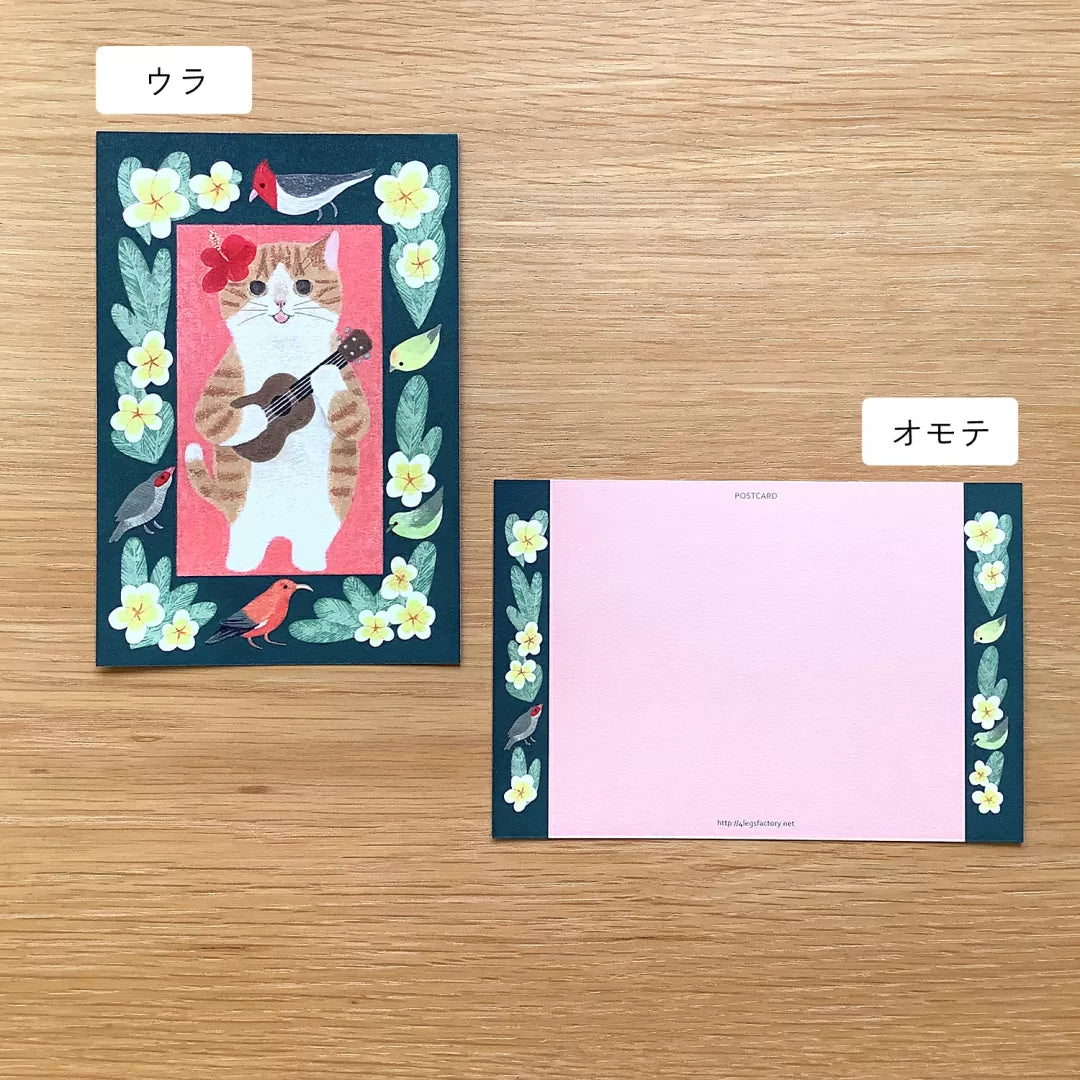 4legs Postcard - Cat in Picture Book #new6 Brown and White Hawaii