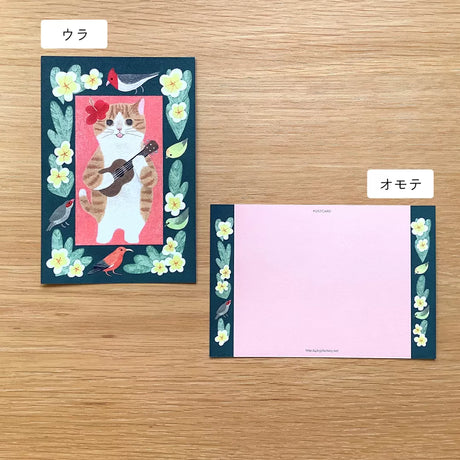 4legs Postcard - Cat in Picture Book #new6 Brown and White Hawaii