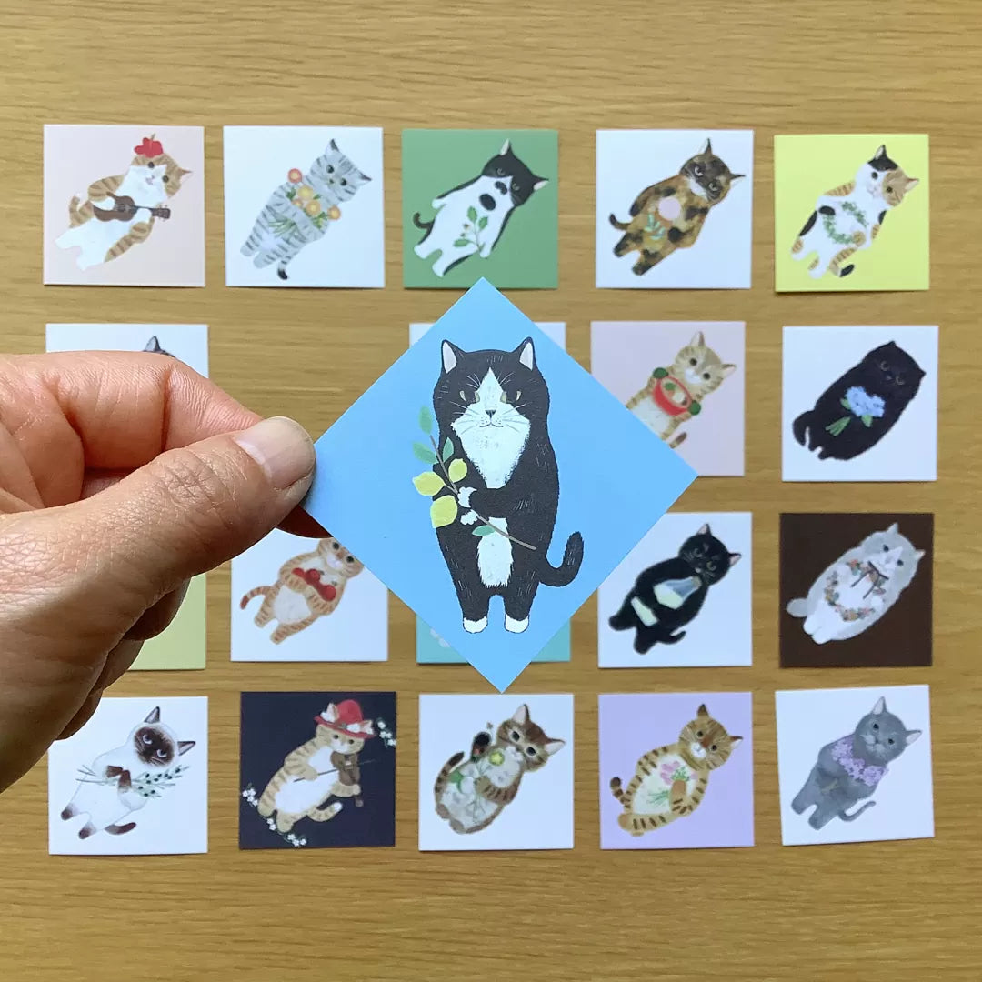 4legs Tiny Letter Paper - For cat lovers