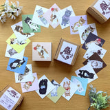 4legs Tiny Letter Paper - For cat lovers