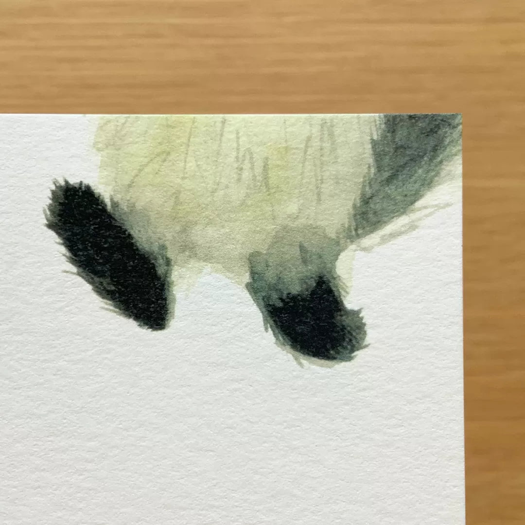 4legs Postcard - Us and Cats 1