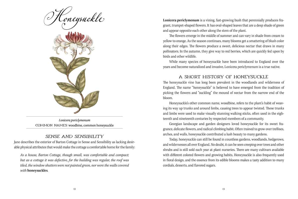 An elegantly illustrated celebration of Jane Austen’s life and literature as told through the flowers, plants, and landscapes that inspired her.

New York Times Bestselling Illustrator!

Through explorations of the botanical inspirations and symbolism in Austen’s work and personal life, as well as historical information about the gardens and landscapes of the Regency Era, Jane Austen’s Garden transports readers back in time to the lush English landscape of the early 1800s.&nbsp;