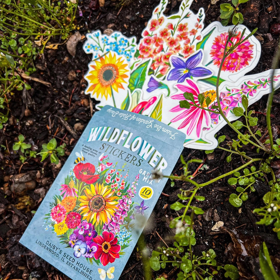 Wildflower Sticker Pack - Set of 10 Matte Stickers by Katie Daisy

From The Garden of Katie Daisy:

Adorn your laptop, water bottle, packages and so much more with this set of vibrant wildflower STICKERS!! You'll receive 10 floral stickers in a seed packet! (This listing is not for wildflower seeds ;) )
