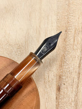 Little Craft Place x Penlux Masterpiece Delgado Fountain Pen - Howdy Houston