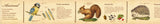 MT ex Washi Tape - Encyclopedia Animal